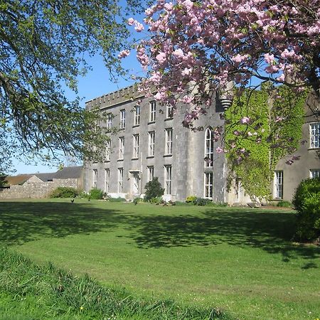 Ash Hill B & B Kilmallock Exterior foto