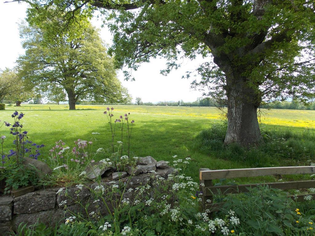 Ash Hill B & B Kilmallock Habitación foto