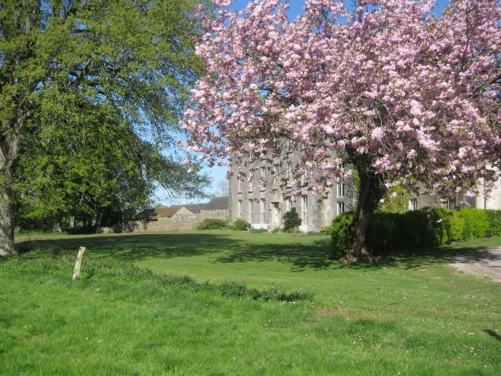 Ash Hill B & B Kilmallock Exterior foto